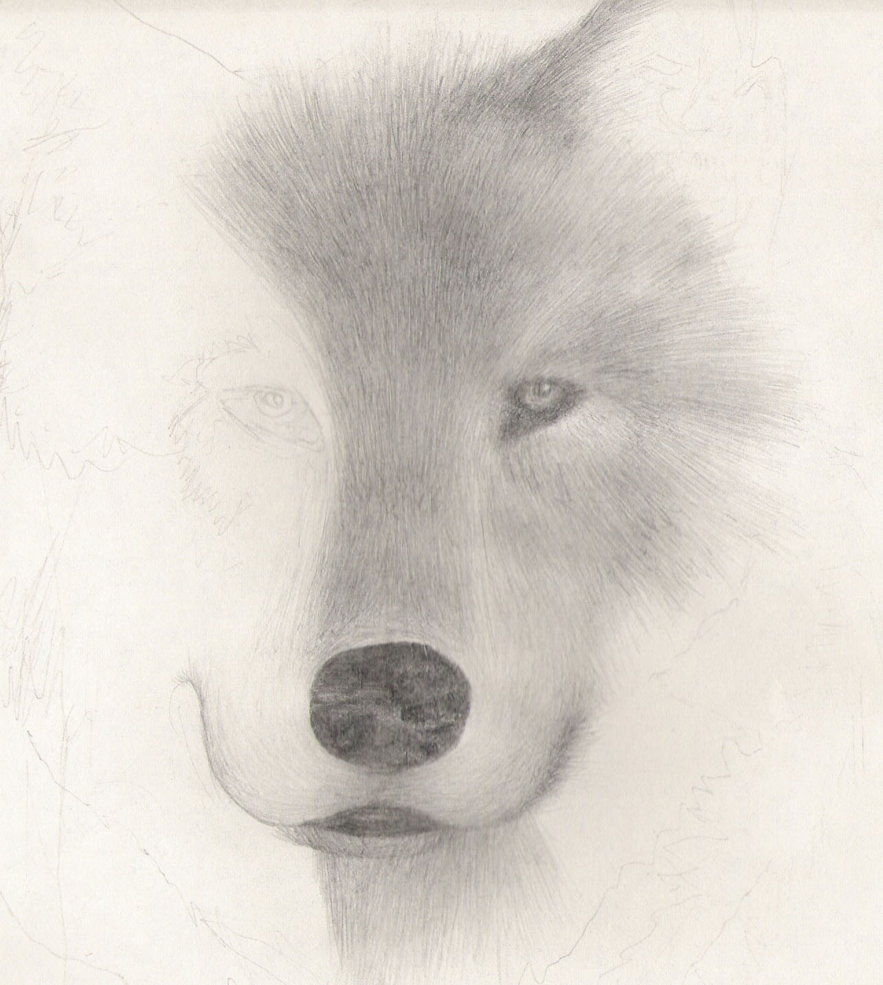 Wolf by chibi_puppy
