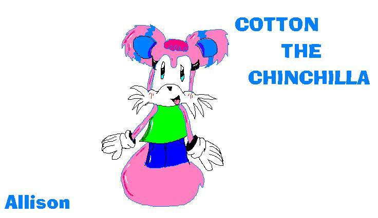 Cotton the chinchilla by chikoritagirl10