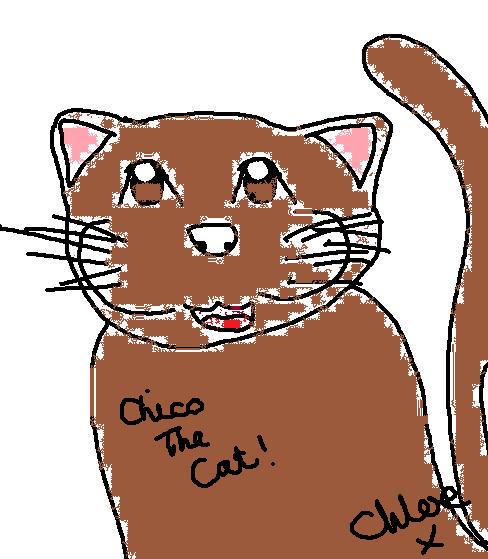 Chico the cat by chloe