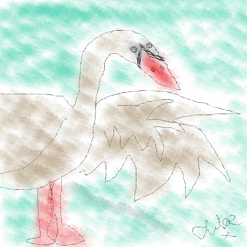 The Swan by chloe