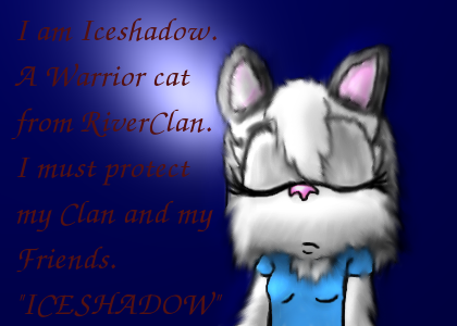 Iceshadow's request: Iceshadow the Cat by chocolate_coffee_girl
