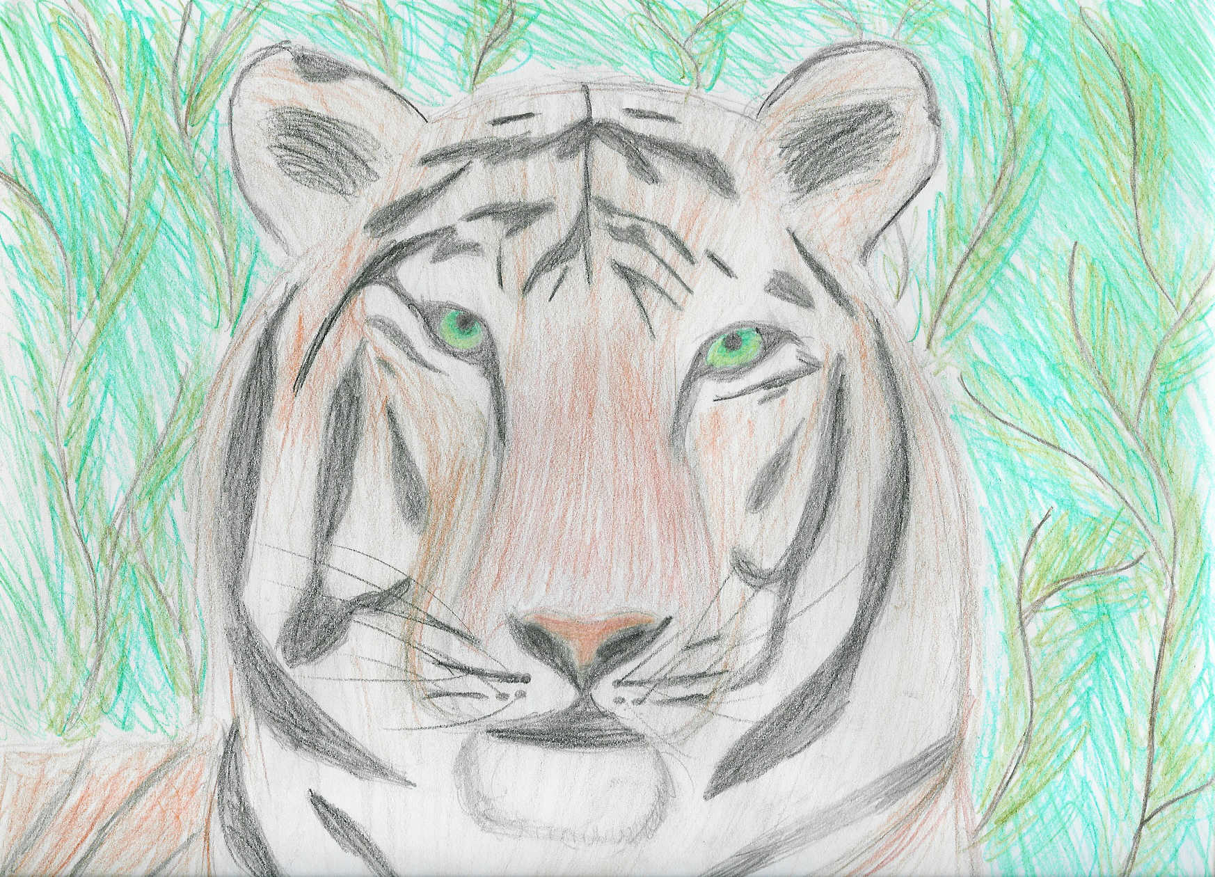 Tigerr by chosen0ne