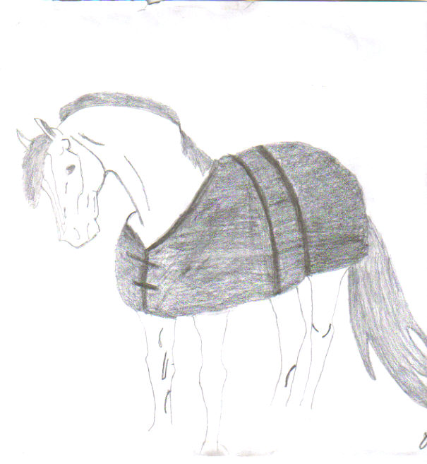 Horse by cloudaeris