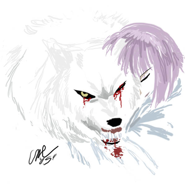 Wolf's rain scribble by cme