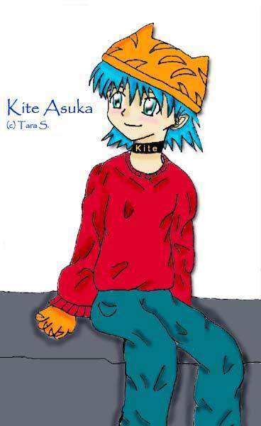 Kitten Kite by code1break
