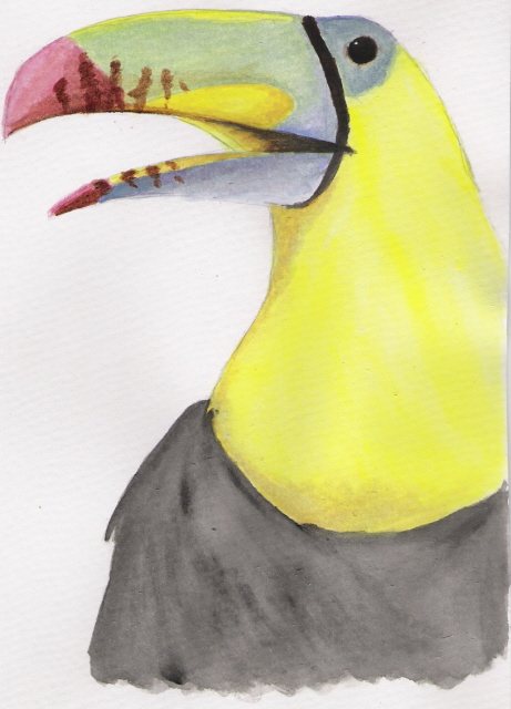 random toucan by cowqueen13