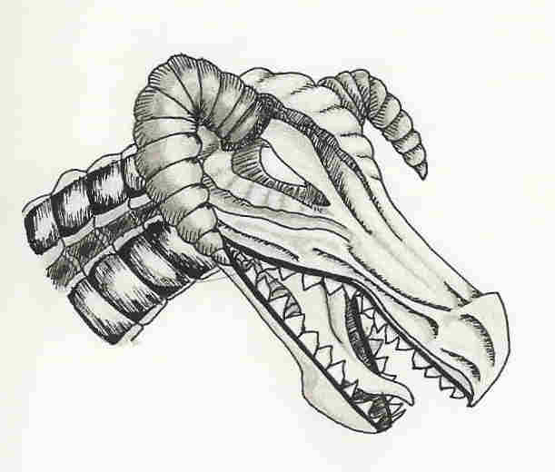 A Stylized Black Skull Dragon by cptShort