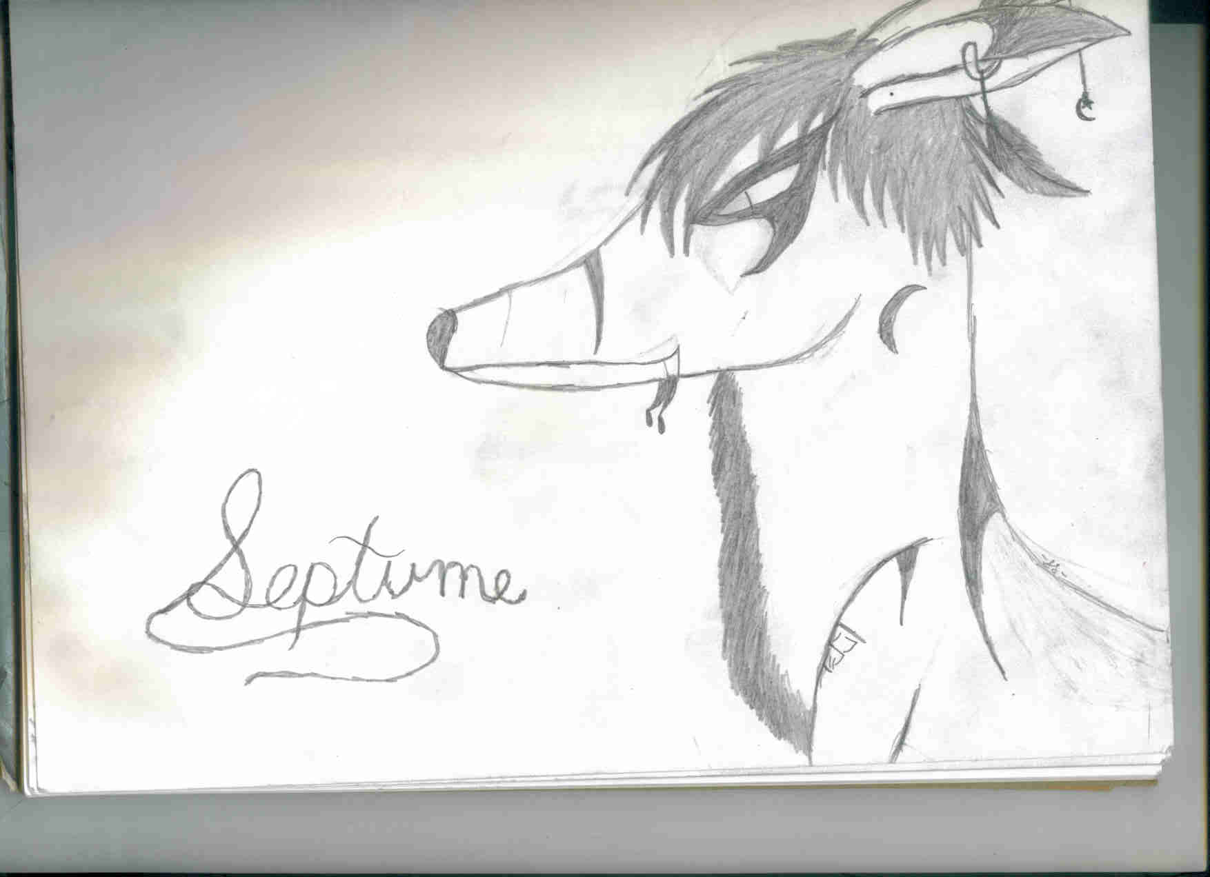 Septume The Fox by crazicat06