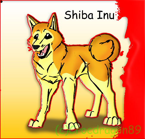The Shiba Inu by crocdragon89