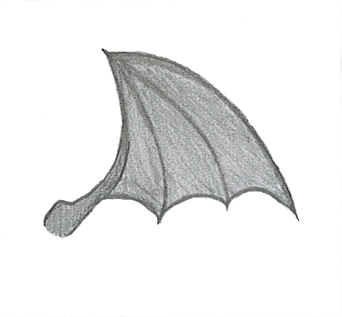 Bat Wing by crying_tenshi