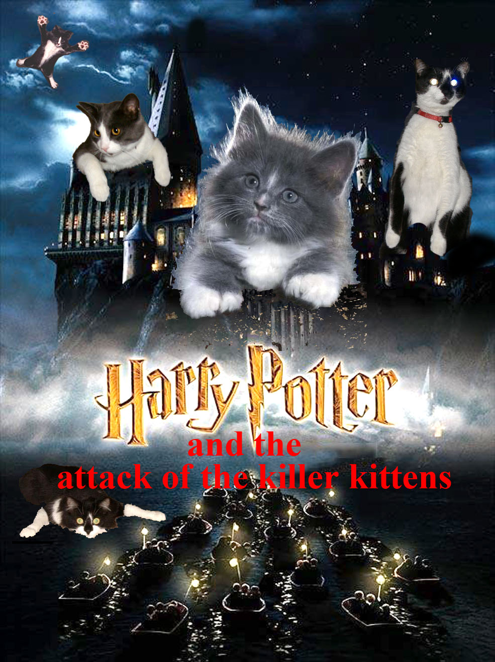 Harry Potter And The Attack Of The Killer Kittens by DARKSHADOW18