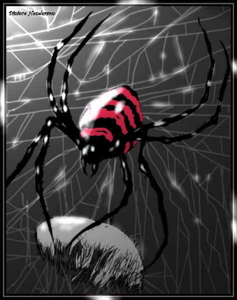 Spider Contest by DMHveggie