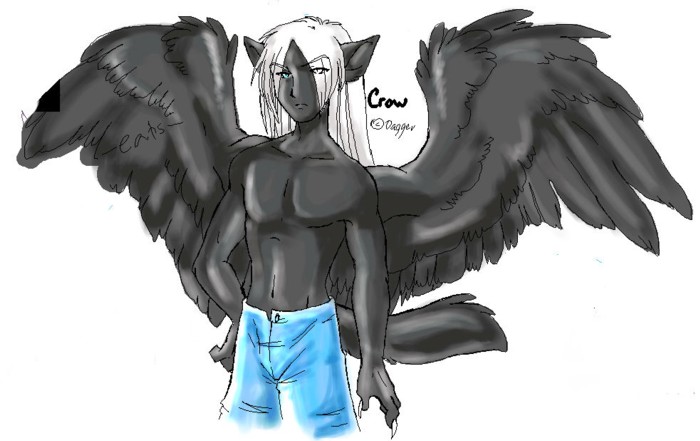 Crow paintchat pic by Dagger