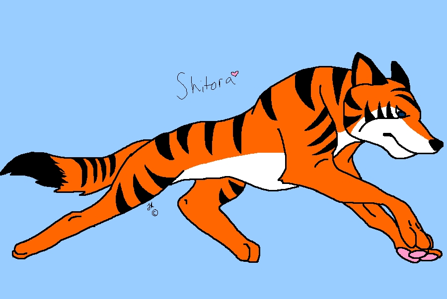 Shitora by Dakota0090