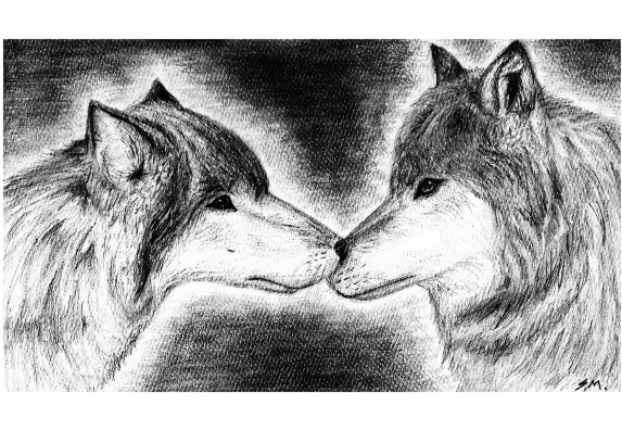 Wolves by DanceAsparagusDance