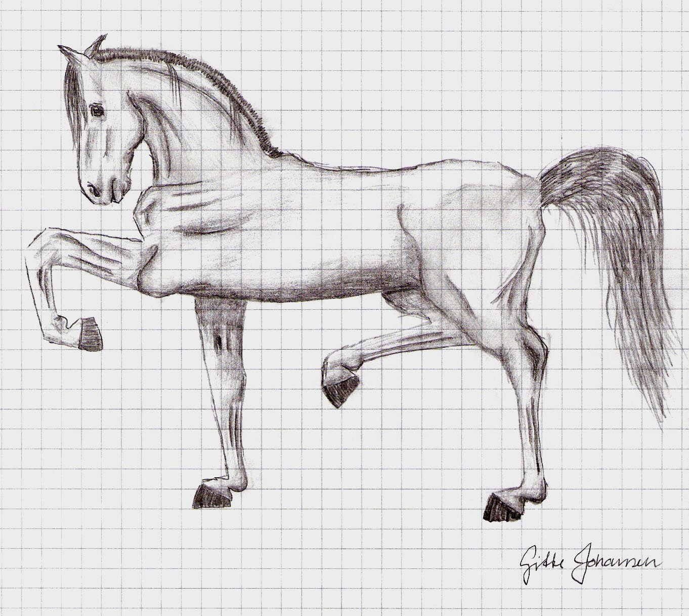 Stallion - sketch by DaneLurex