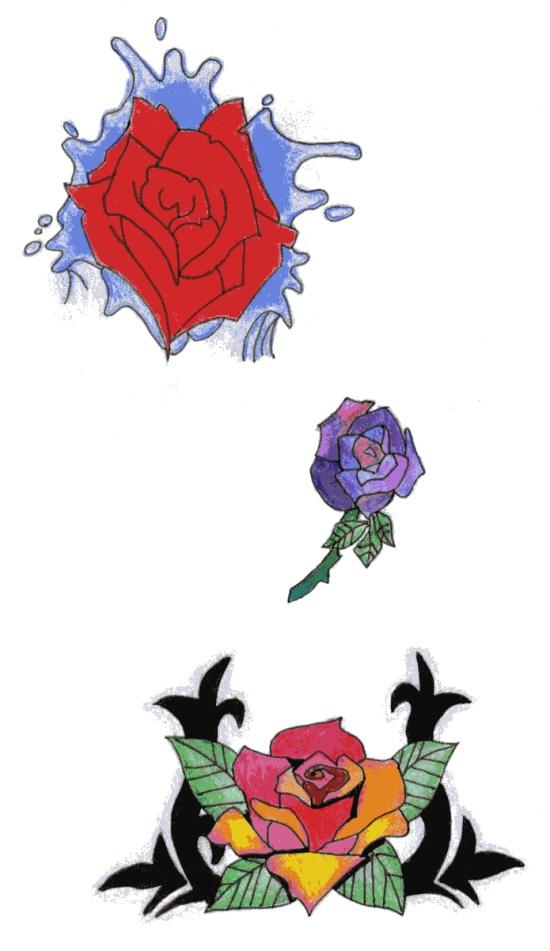 Roses by Daneko