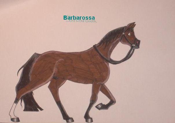 Barbarossa by DaniPhantom92