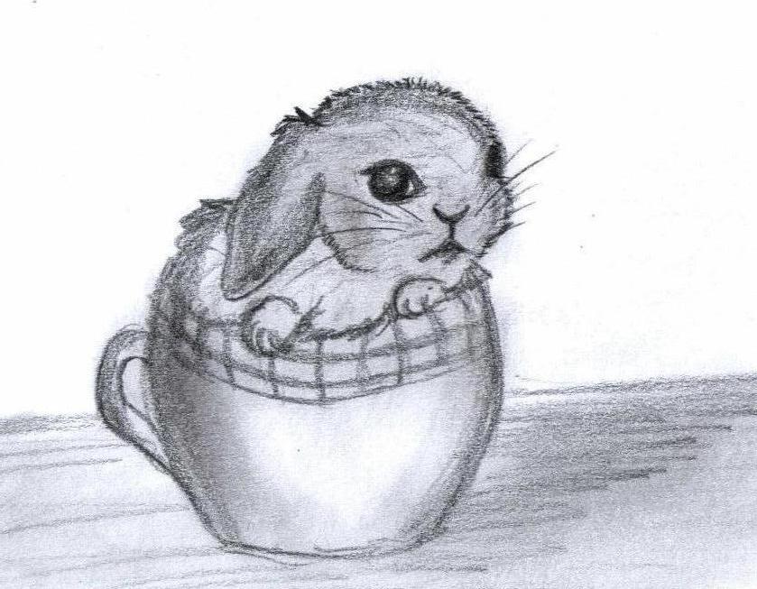 Bunny in a cup by DaniPhantom92