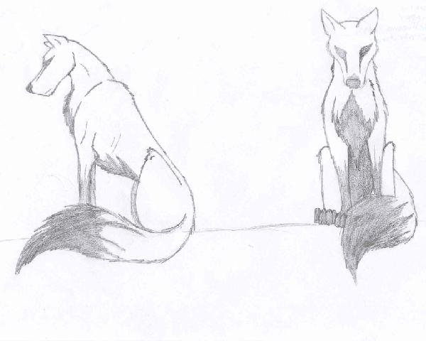 wolf kira by Danidan19