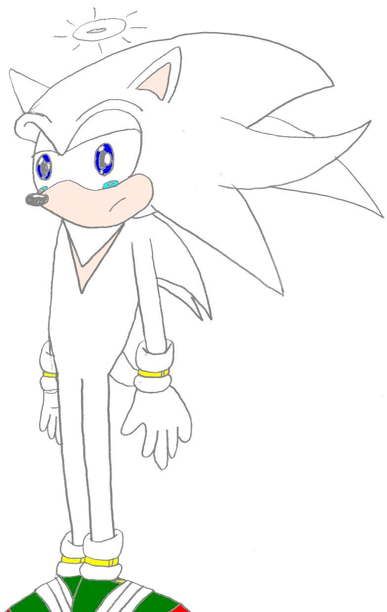 Spirit the Hedgehog by Danny_the_Street_Fighter_Panda