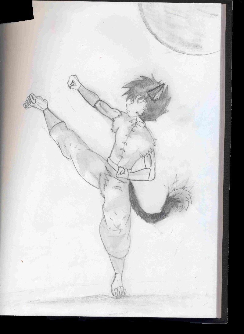 kyro kicking in the air by DarkDemonWolf