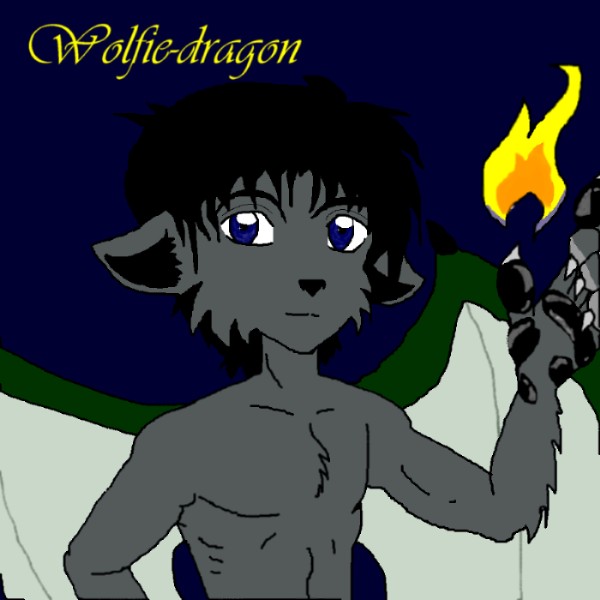Were Dragy-Wolfie by DarkDemonWolf