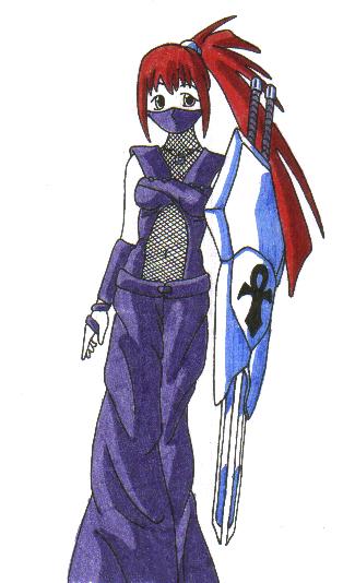Shield and Sword Ninja by DarkFangDragon