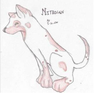 Nitrogen by DarkFoxDemon