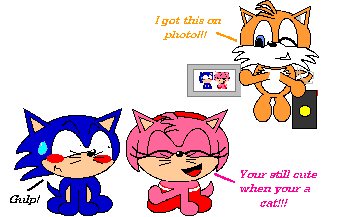 Their...CATS! (Sonic, Amy, Tails) by DarkPeach