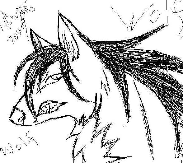 Another Wolf by DarkUnicorn
