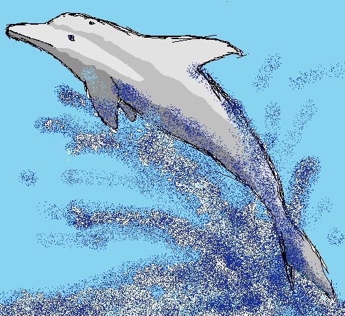 Dolphin by DarkUnicorn