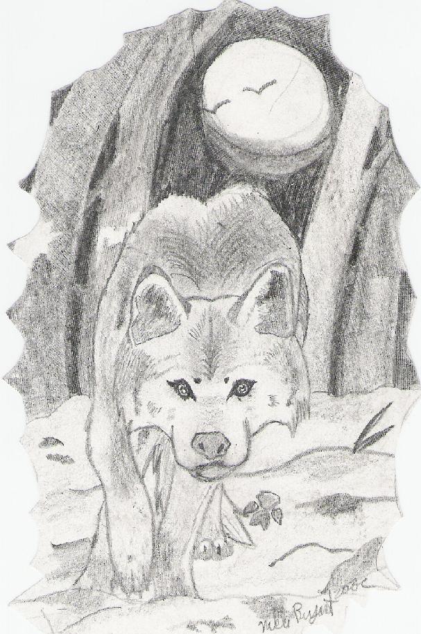 Wolf in the Night by DarkUnicorn