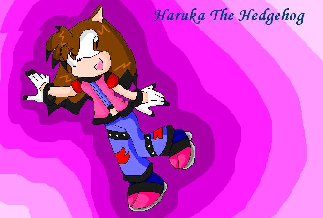 Haruka the Hedgehog by Dark_Rini