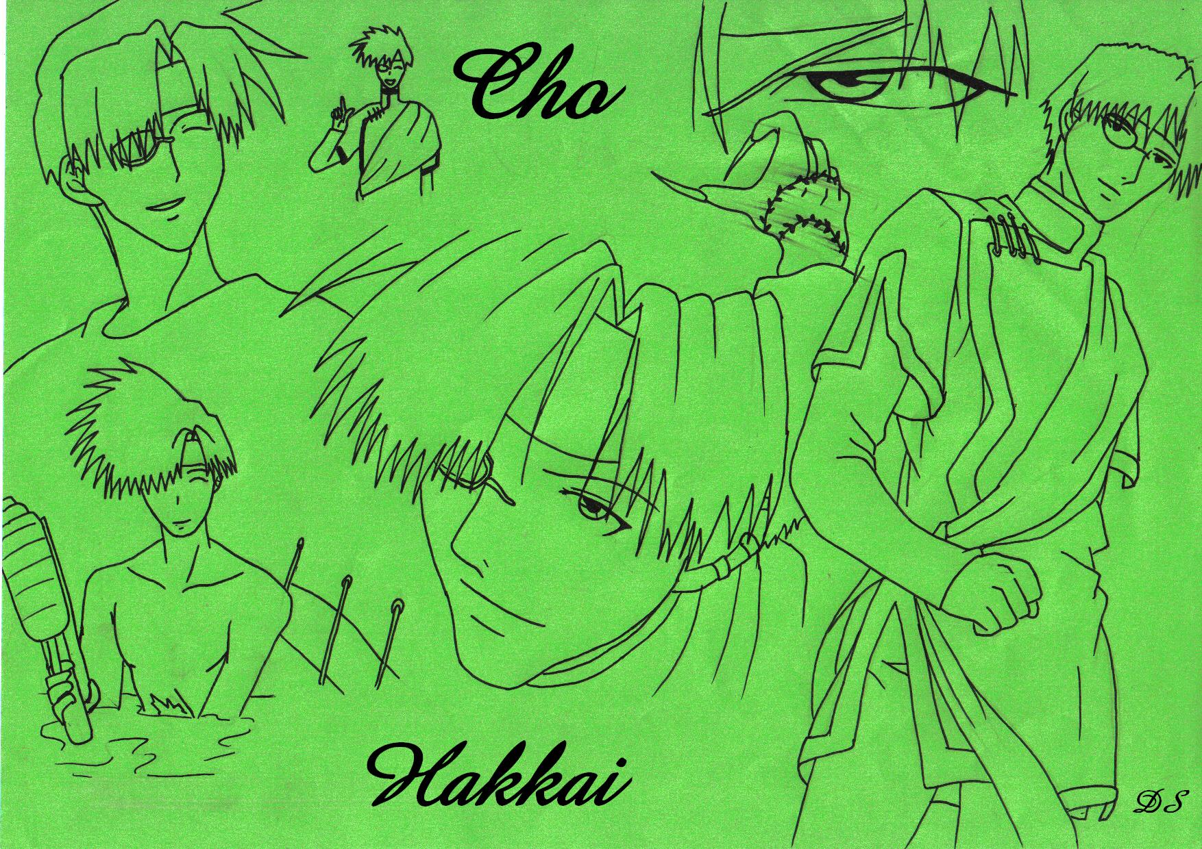 Cho Hakkai; a tribute to by Darker_Shadow