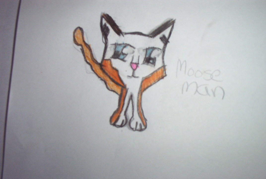 Moose my cat! by Darkone234