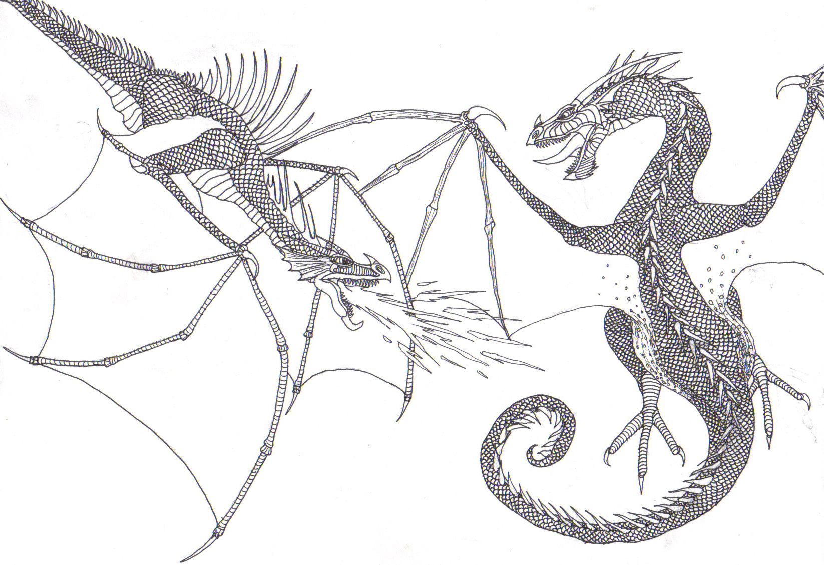 Dragons Battle by Darkwing