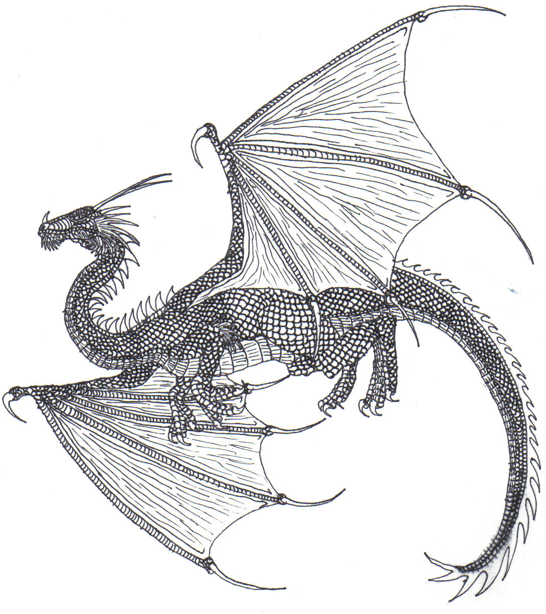 Flying Dragon by Darkwing