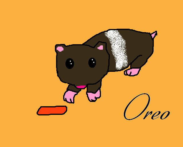 My Cousin's Hampster Oreo by Dawnmist