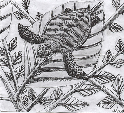 *A sea turtle. In a tree.* by DeathWynd