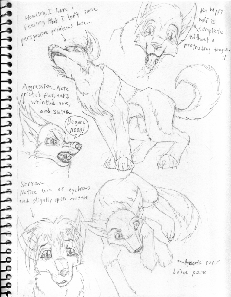 Wolf Sketchies by Defiance