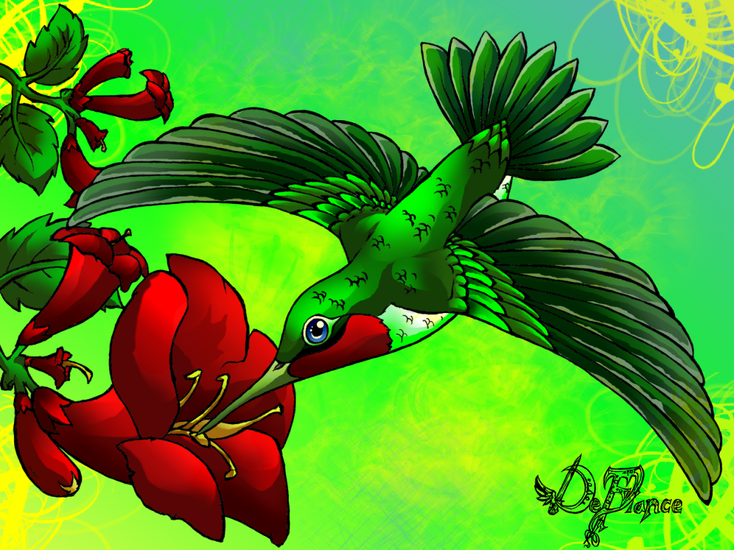 Meeks' Hummingbird by Defiance