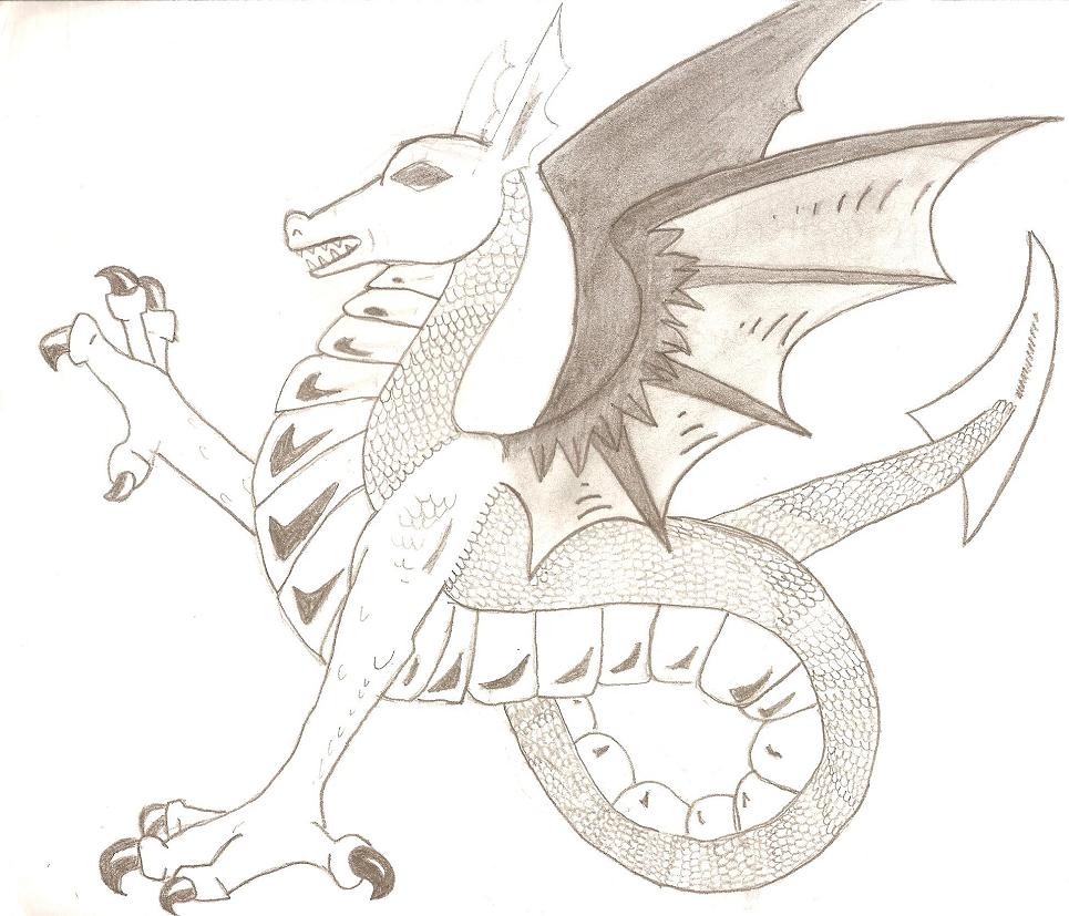 wyvern dragon by Derufin