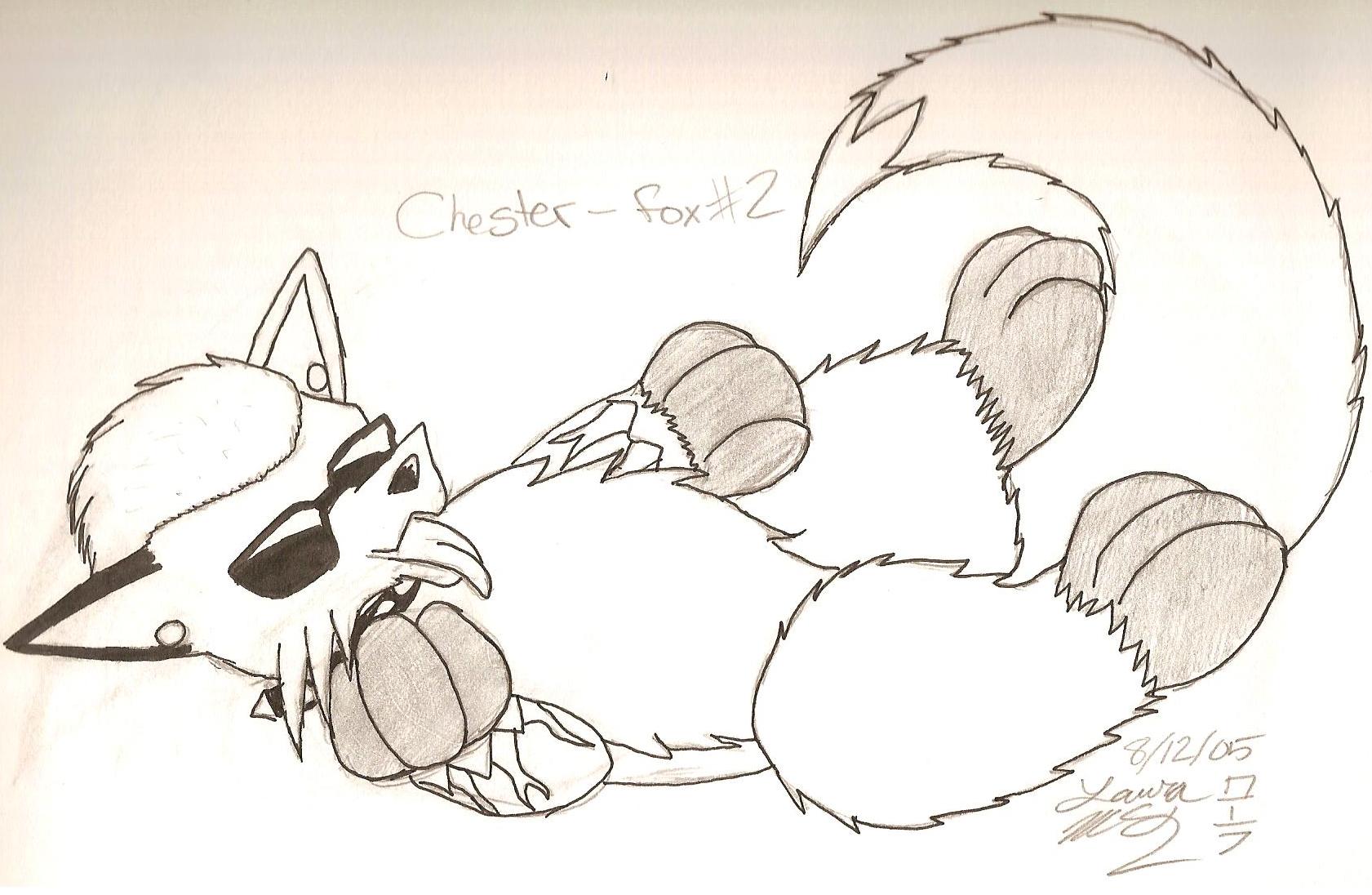 Chester fox number 2 (large dedication) by Derufin