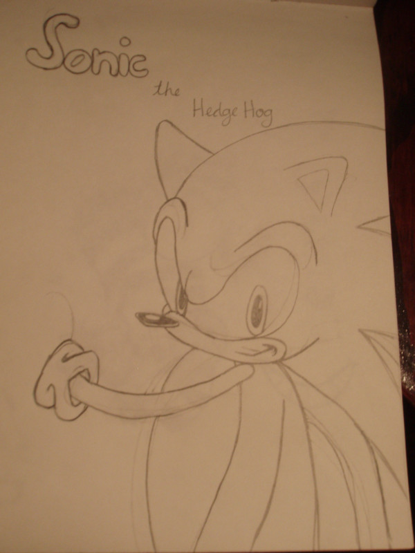 Sonic the Hedgehog by DisneyDork
