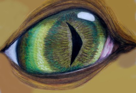 Green Eye by DivineWolf