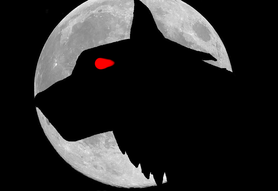 A werewolves Nightmare by DoctorWhoFanatic
