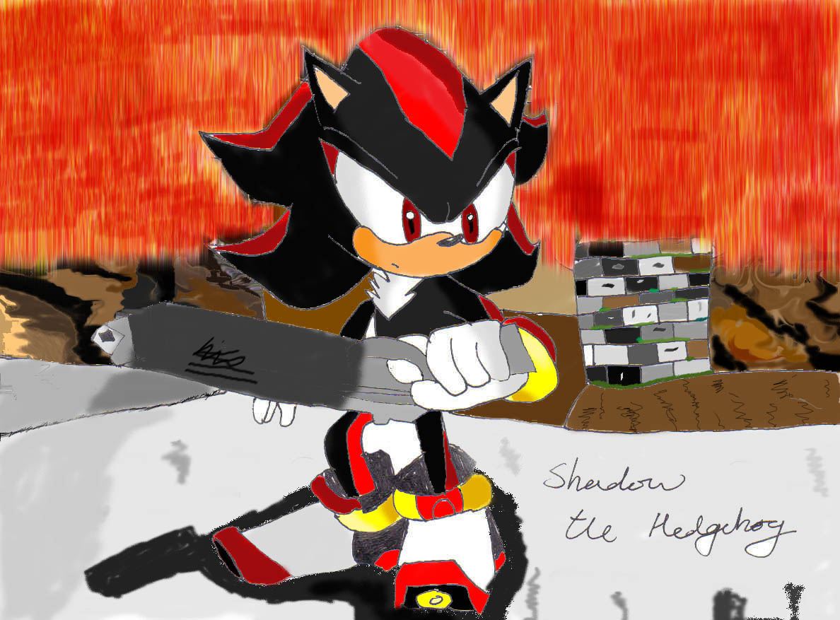 Shadow the Fugitive by Domino009