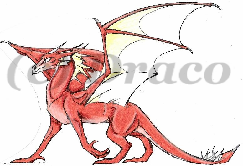 Colored Fire Dragon by Dracoanimegurl