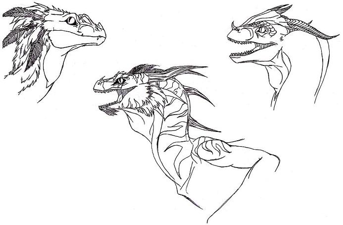 Dino/Dragon head designs by Dracoanimegurl